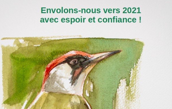 Meilleurs vœux pour 2021 !